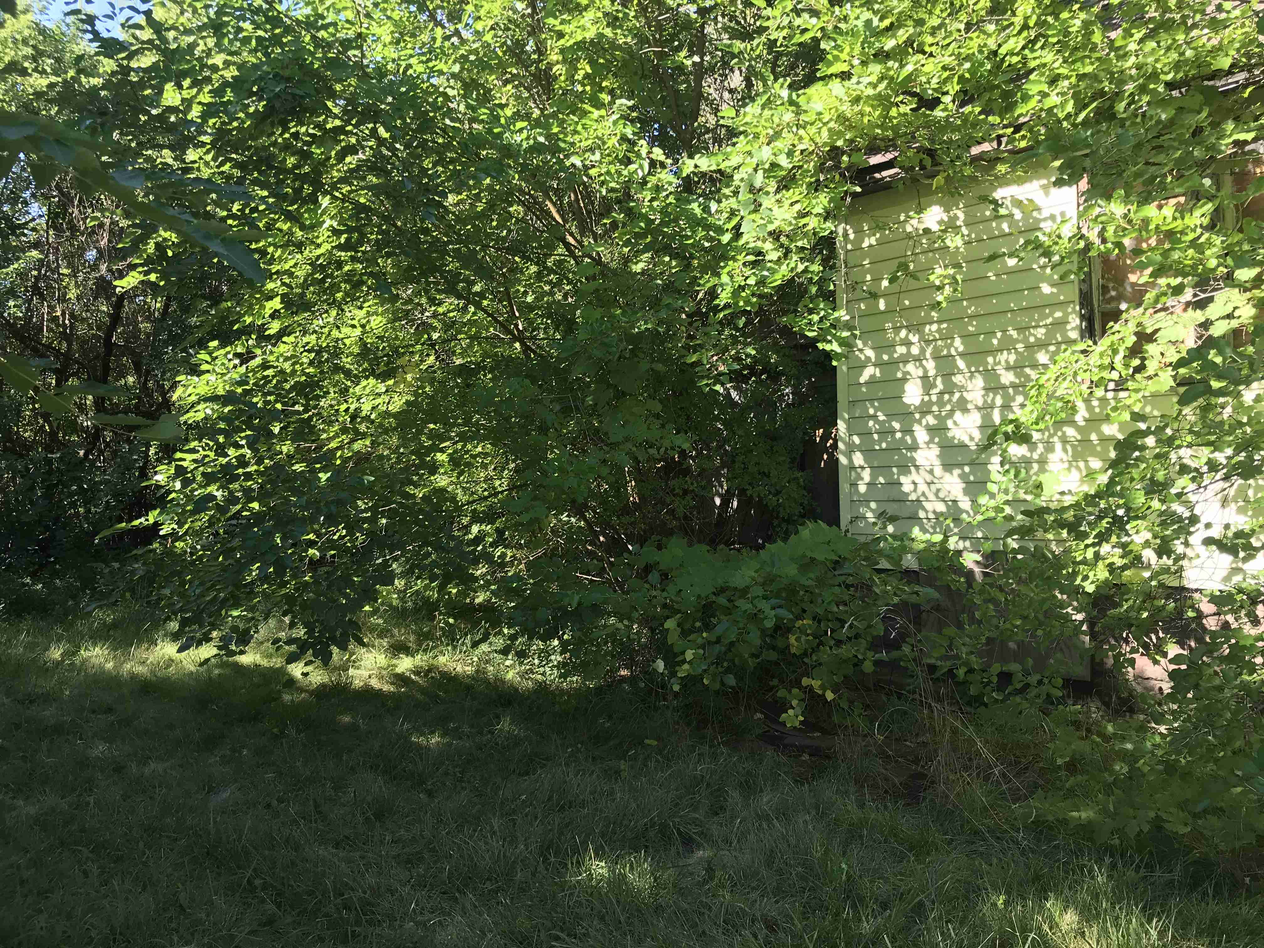 Photo Aug 20, 10 23 02 AM.jpg